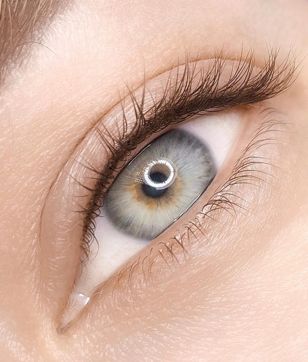 <span style="font-weight: 700;">Lash Line Enhancement</span>